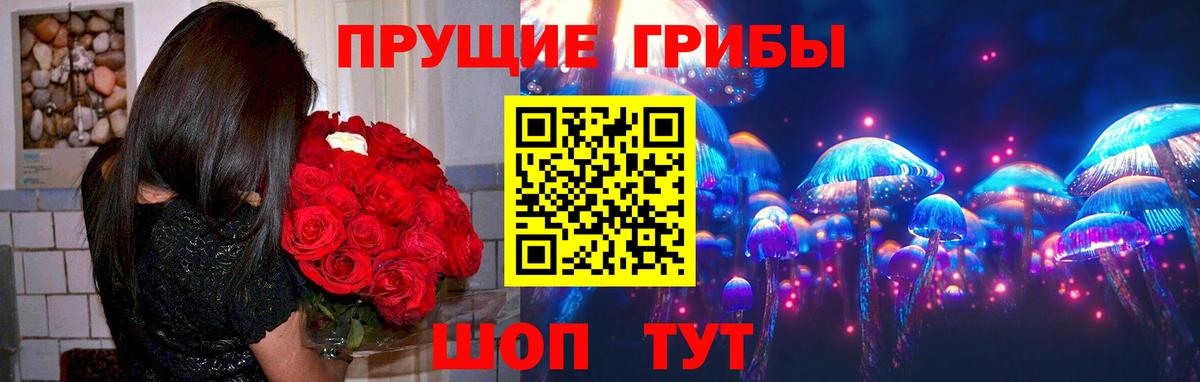 Псилоцибиновые грибы прущие грибы Астрахань