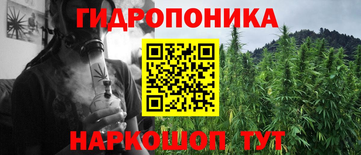 Марихуана семена  Вход с VPN  Астрахань  Канабис OG Kush  Канабис AK-47 
